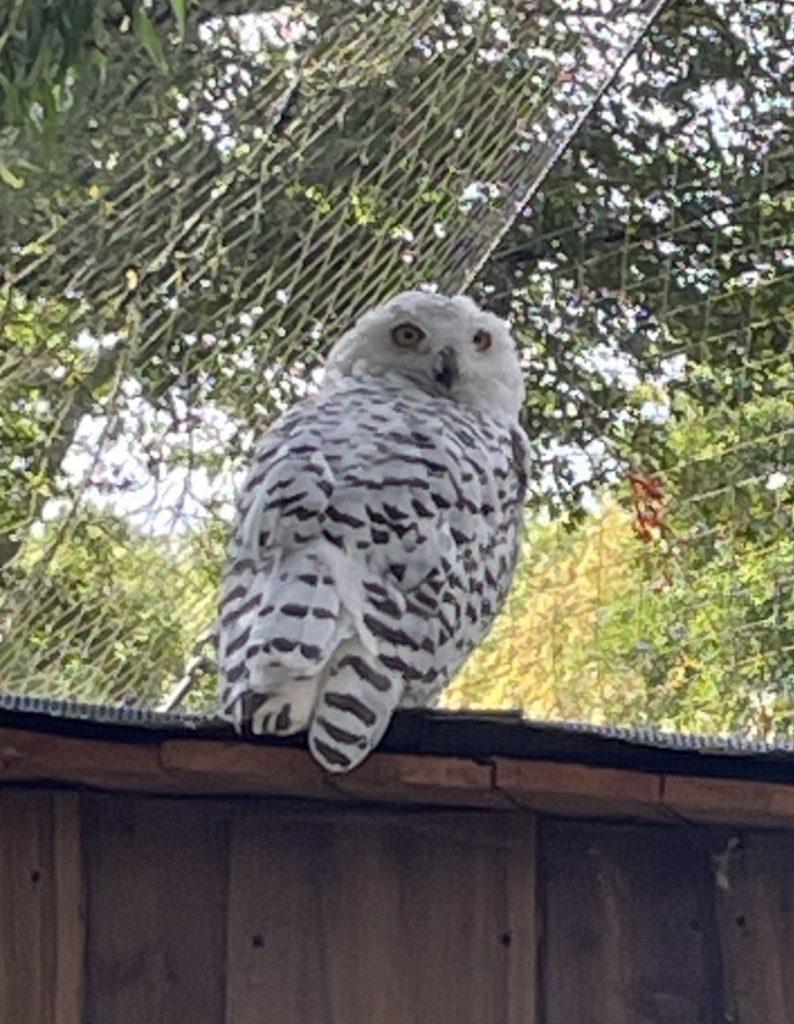 Ausflug in den Klever Tiergarten