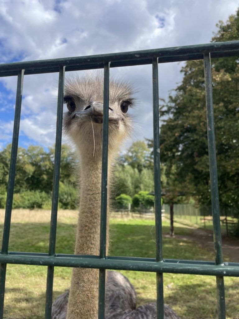 Ausflug in den Klever Tiergarten