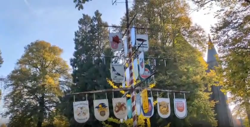 Vereinsbaum im Dorfzentrum von Materborn